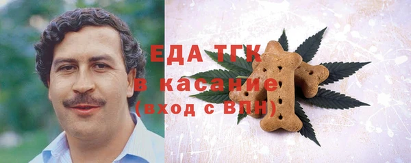 индика Гусь-Хрустальный