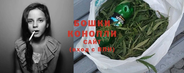 индика Гусь-Хрустальный