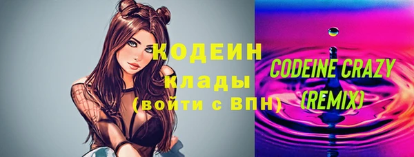 Альфа ПВП Гусев