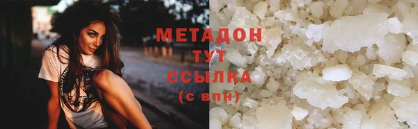 индика Гусь-Хрустальный