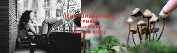 индика Гусь-Хрустальный