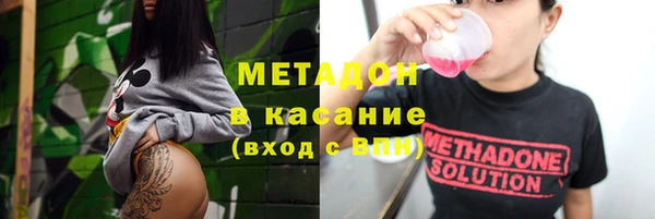 индика Гусь-Хрустальный