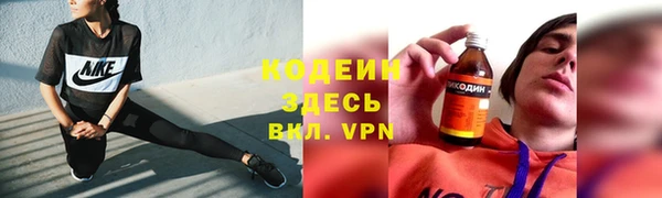 индика Гусь-Хрустальный
