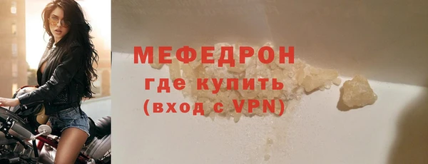 индика Гусь-Хрустальный