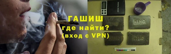 индика Гусь-Хрустальный