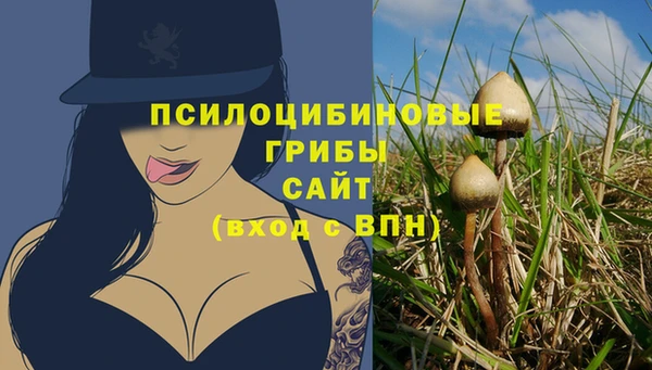 индика Гусь-Хрустальный