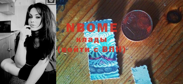 индика Гусь-Хрустальный