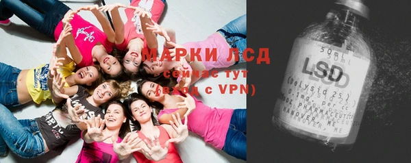 индика Гусь-Хрустальный