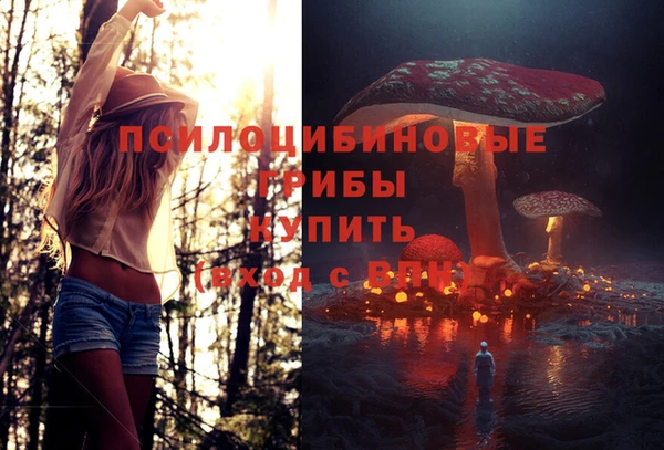 МДПВ Магадан