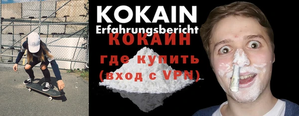 индика Гусь-Хрустальный