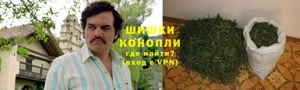 Альфа ПВП Гусев