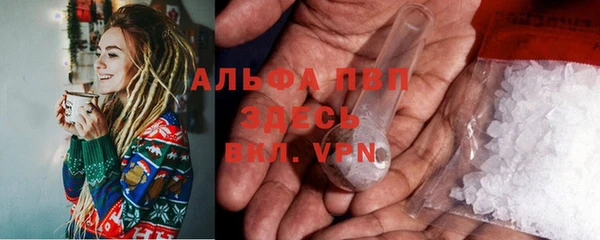 индика Гусь-Хрустальный