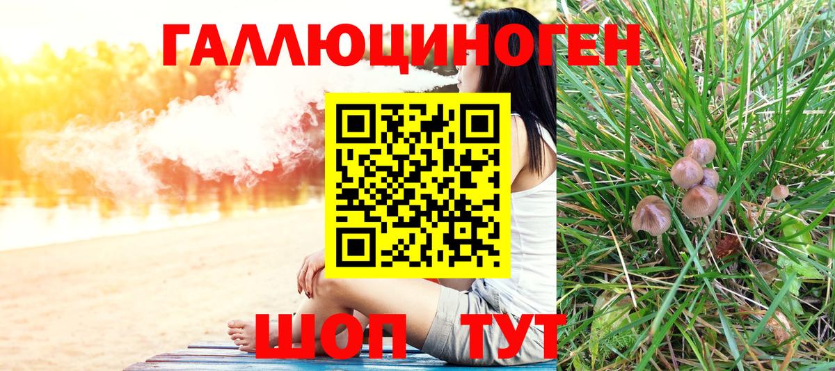 Галлюциногенные грибы GOLDEN TEACHER  Вход с VPN  Назарово  Псилоцибиновые грибы Psilocybine cubensis 