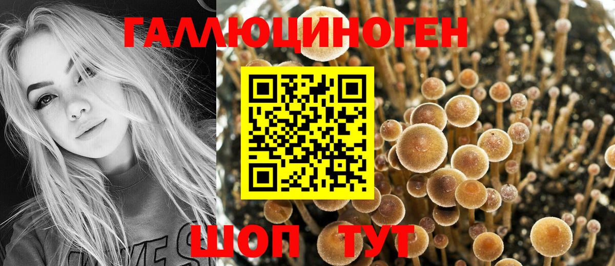 Псилоцибиновые грибы ЛСД Назарово